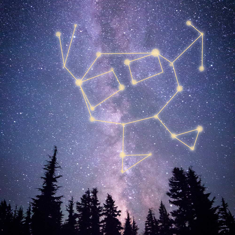 Stars form an outline of Curdis in the sky.